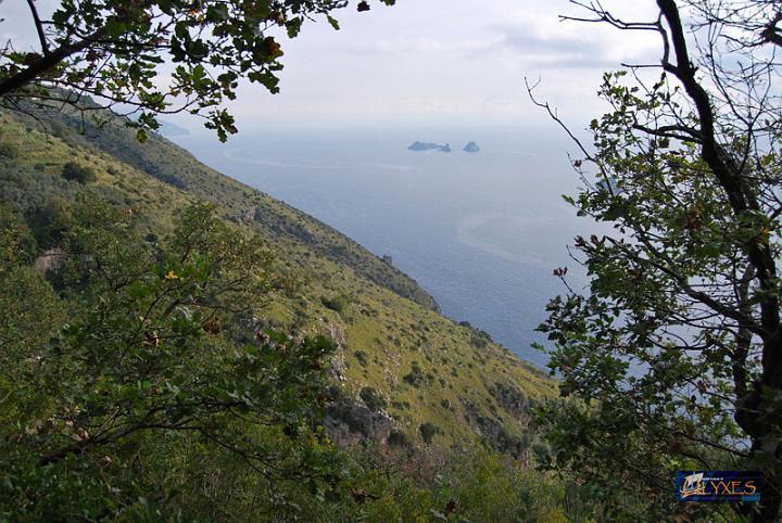 veduta con la torre di crapolla.JPG